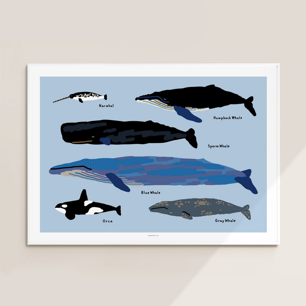 ArtPrint - Whales – Bild 3